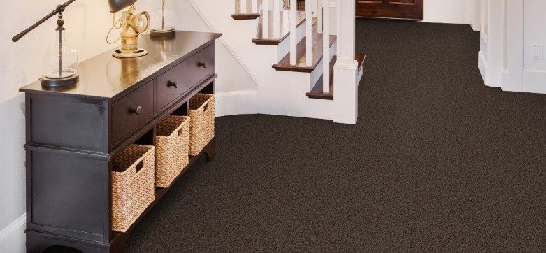 Selecting Beaulieu Carpet for Your Pet-Friendly Home