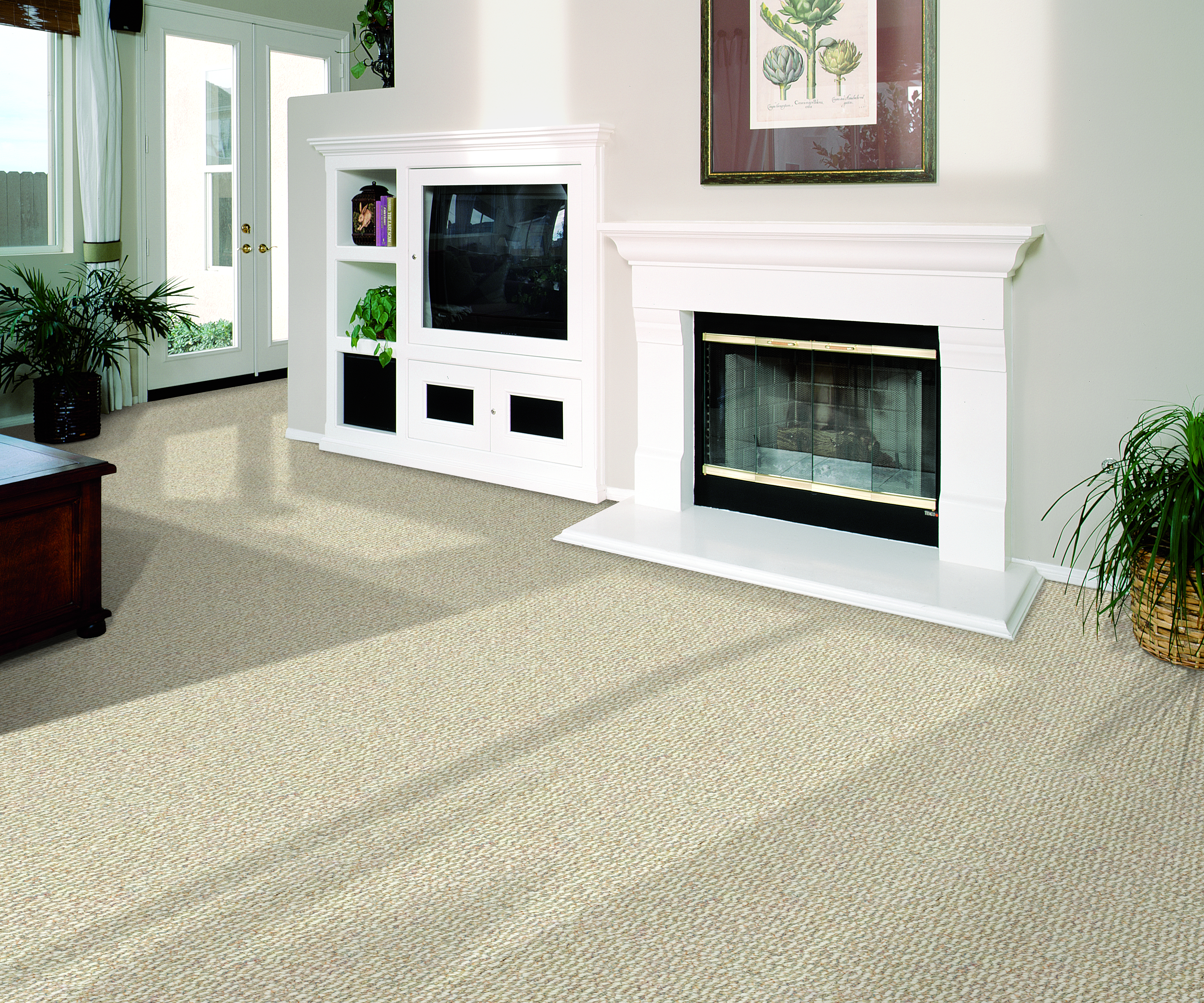 Make a Style Statement with Your Carpet Flooring 2
