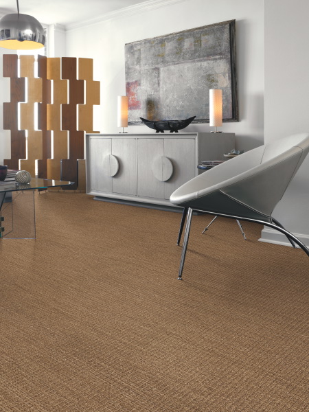 Make a Style Statement with Your Carpet Flooring 3