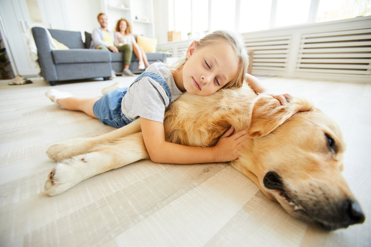 Pet-Friendly Flooring: Why LVT is a Great Choice for Pet Owners