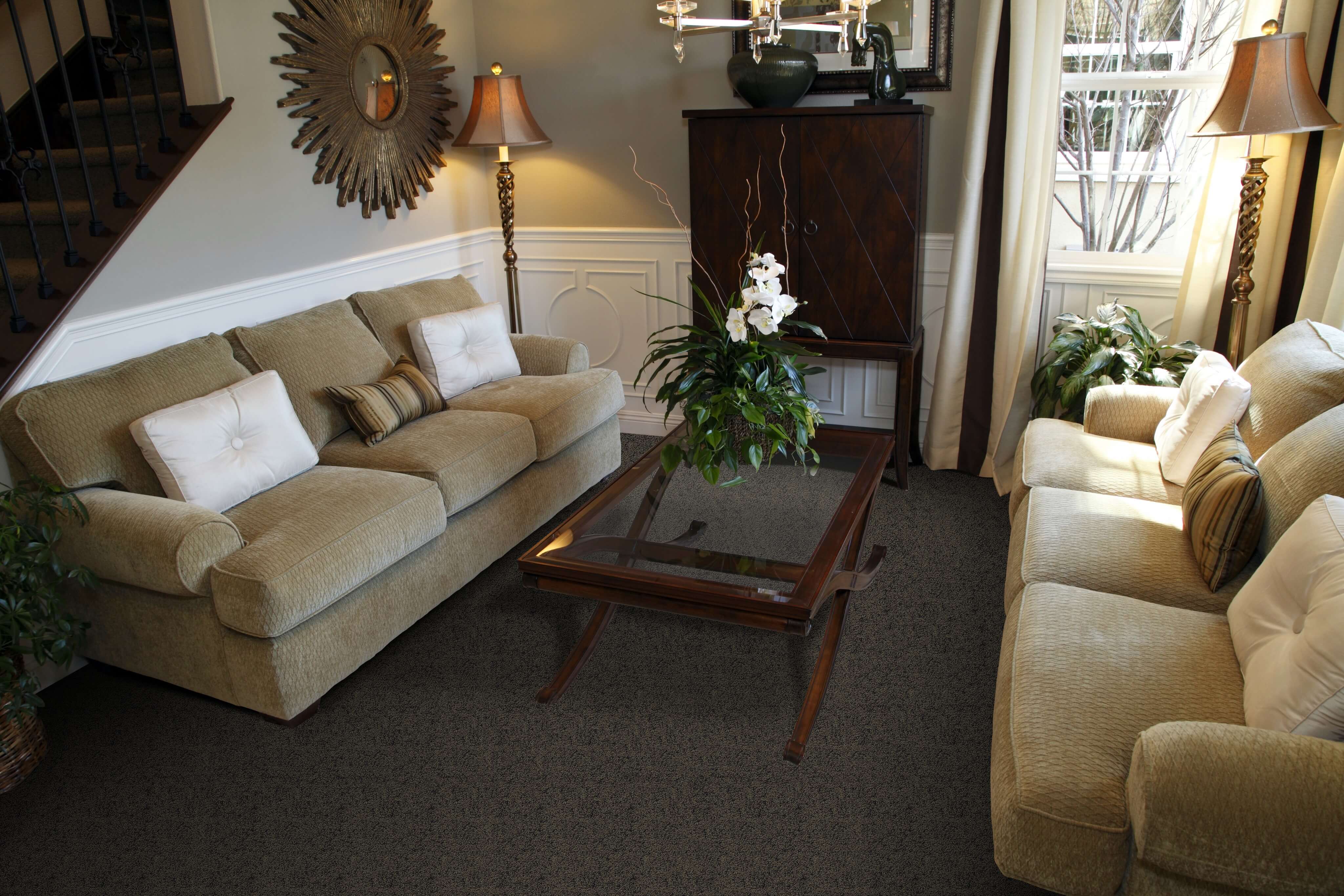 Reasons to Have Your Beaulieu Carpet Professionally Cleaned