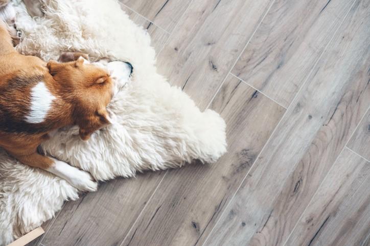 4 Reasons Why Shaw Laminate Flooring is a Great Alternative to Hardwood